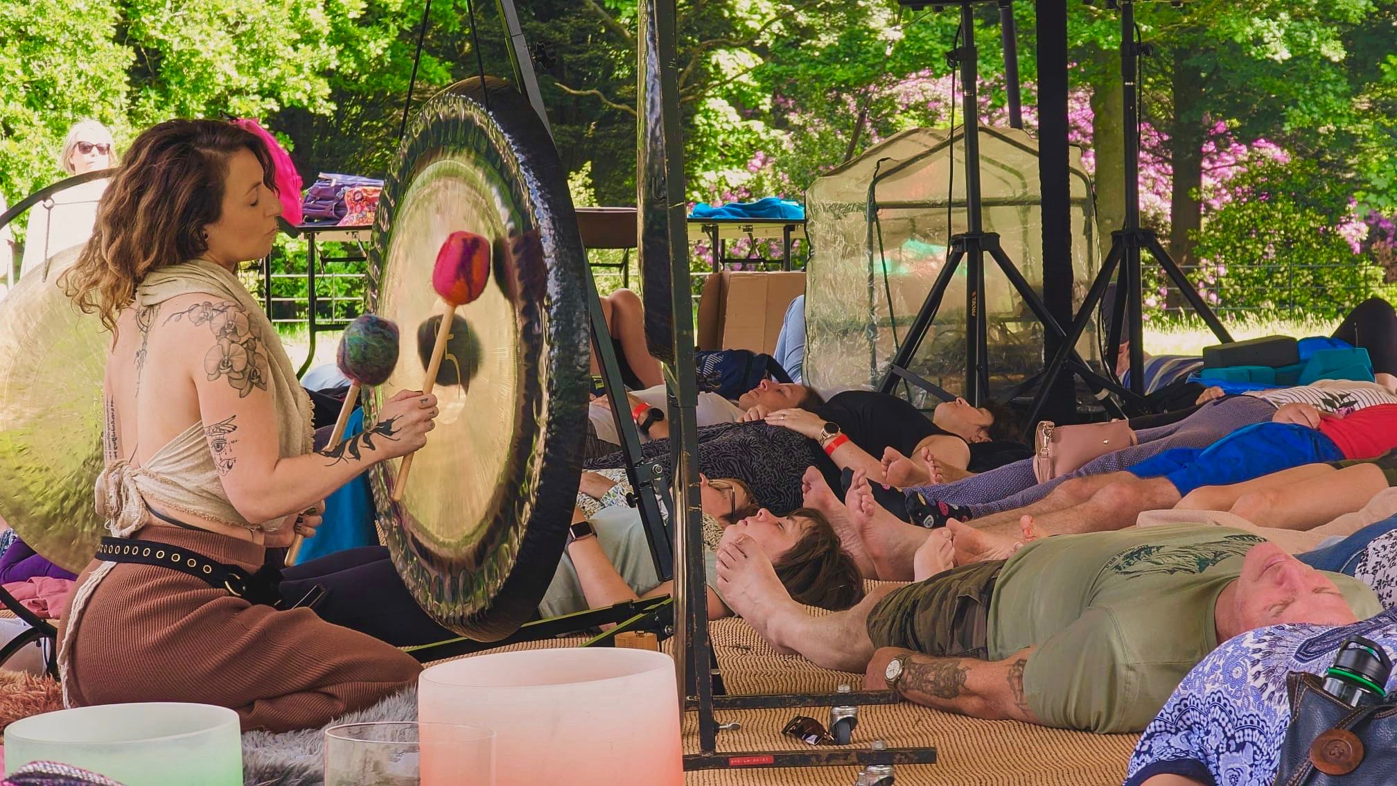 Wild Feather Wellness, photo 2